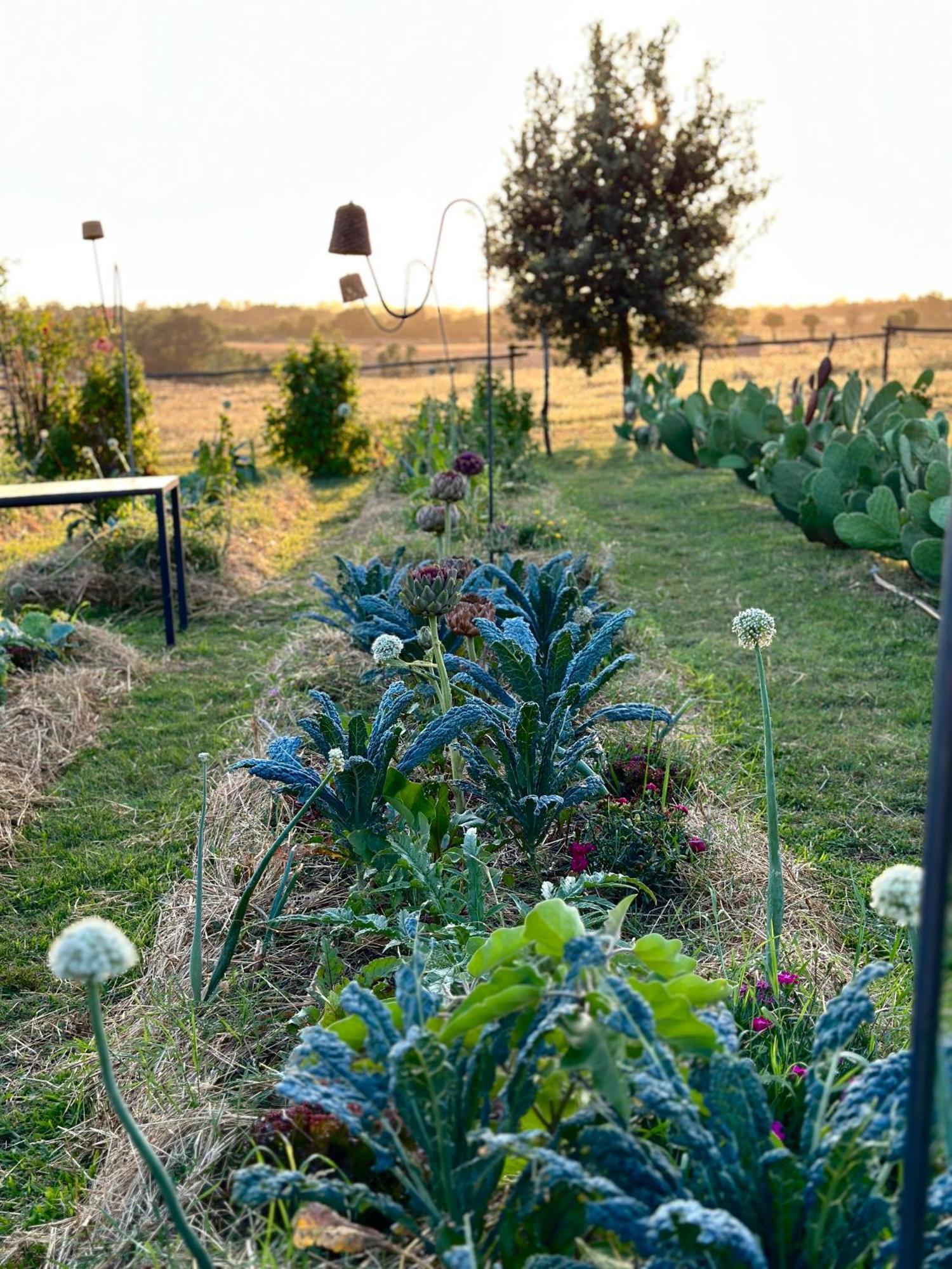 Tenuta Di Paternostro ヴェトラッラ エクステリア 写真