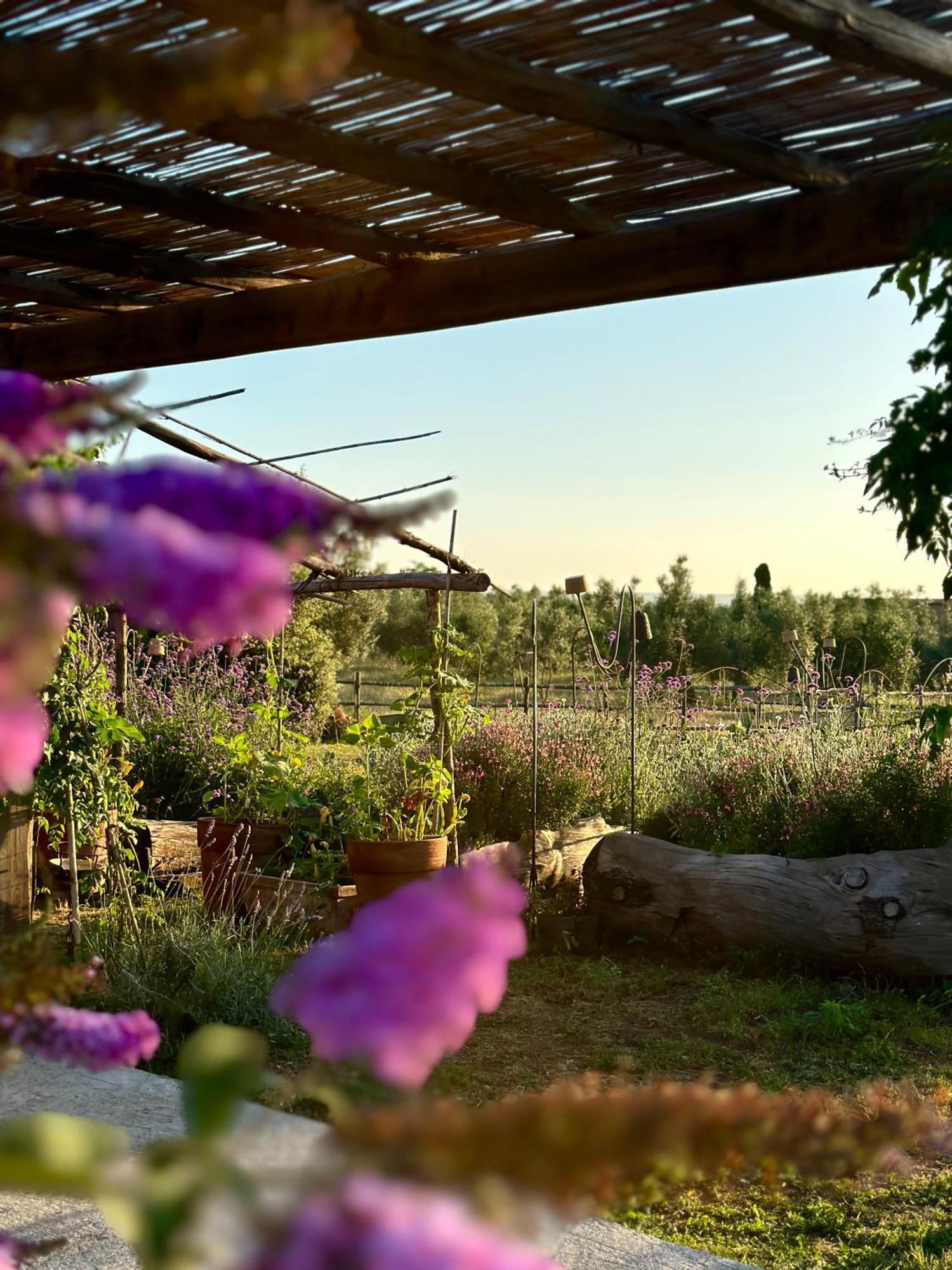 Tenuta Di Paternostro ヴェトラッラ エクステリア 写真