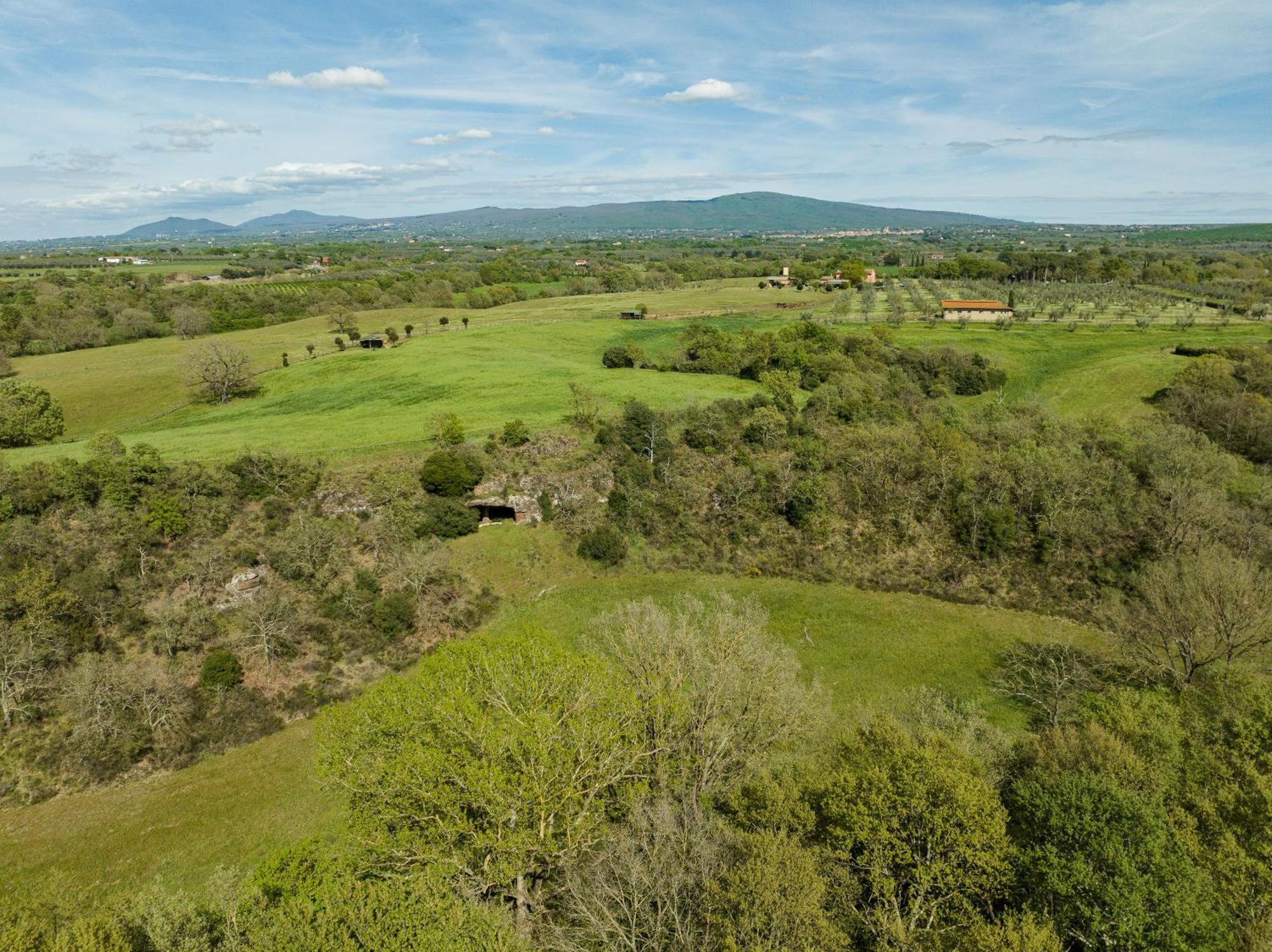 Tenuta Di Paternostro ヴェトラッラ エクステリア 写真