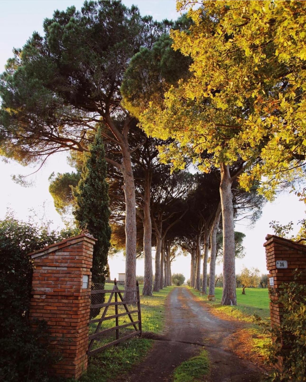 Tenuta Di Paternostro ヴェトラッラ エクステリア 写真